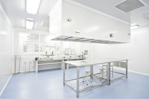 蘇州工業(yè)園gmp工廠車間的裝修和設計